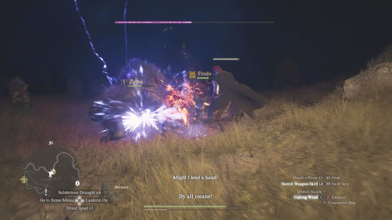 Battling a monster in some grasslands, with aid from a pawn named Frodo.