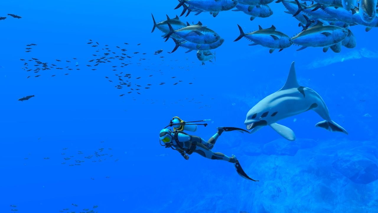 A diver swims as a dolphin chases and a school of large fish swims overhead