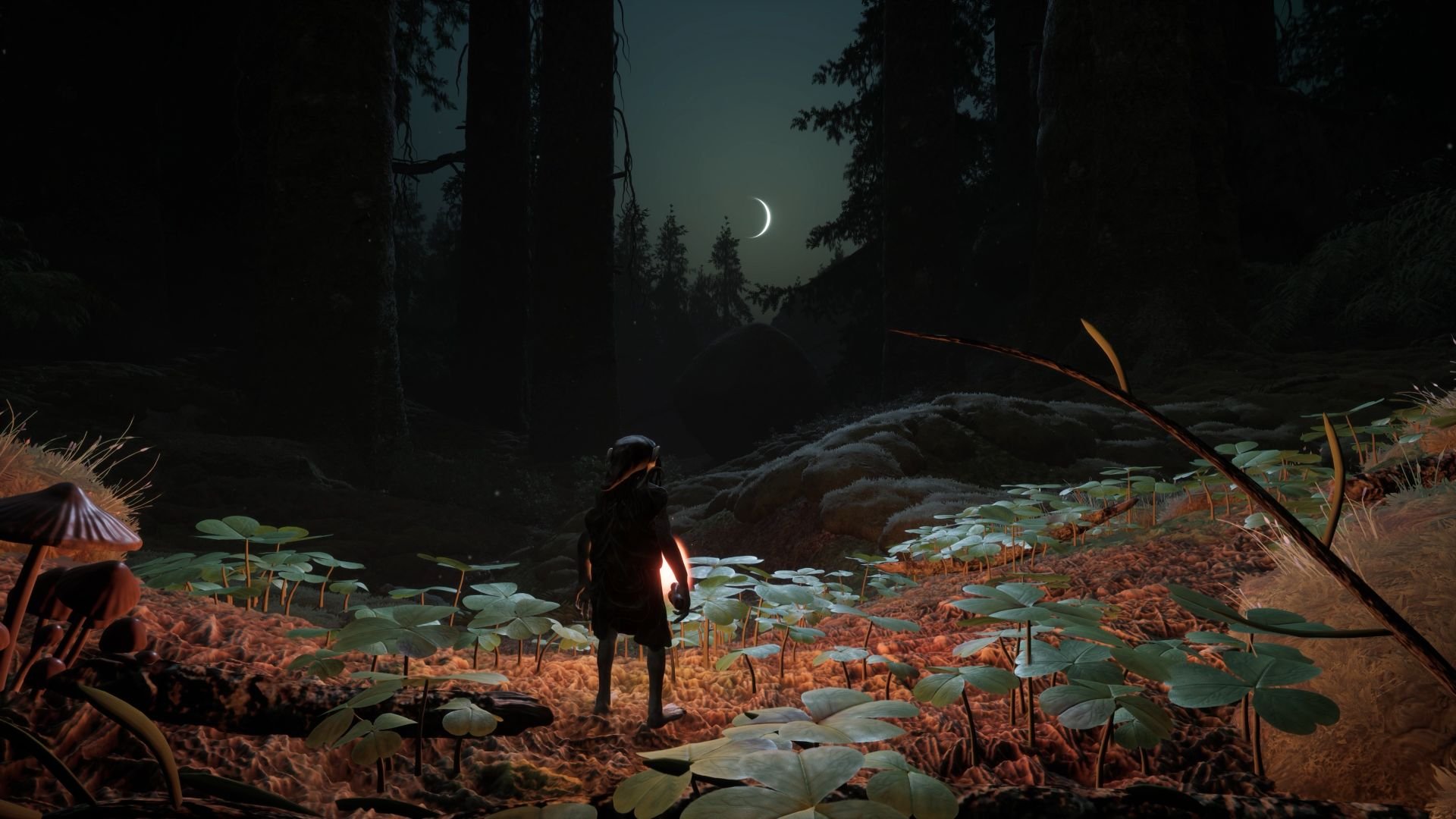 A gnome stands among clover leaves on the forest floor, looking through towering trees at a sliver of moon in the night sky.