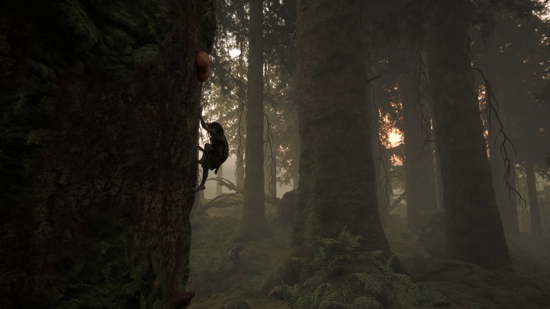 Viewed in profile, another gnome ascends a tree trunk while sun peers through foliage beyond it.
