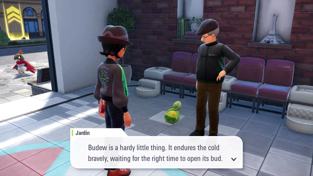 Jardin looks down at a Budew at his feet as he talks to the Pokemon Trainer about the Budew show competition.