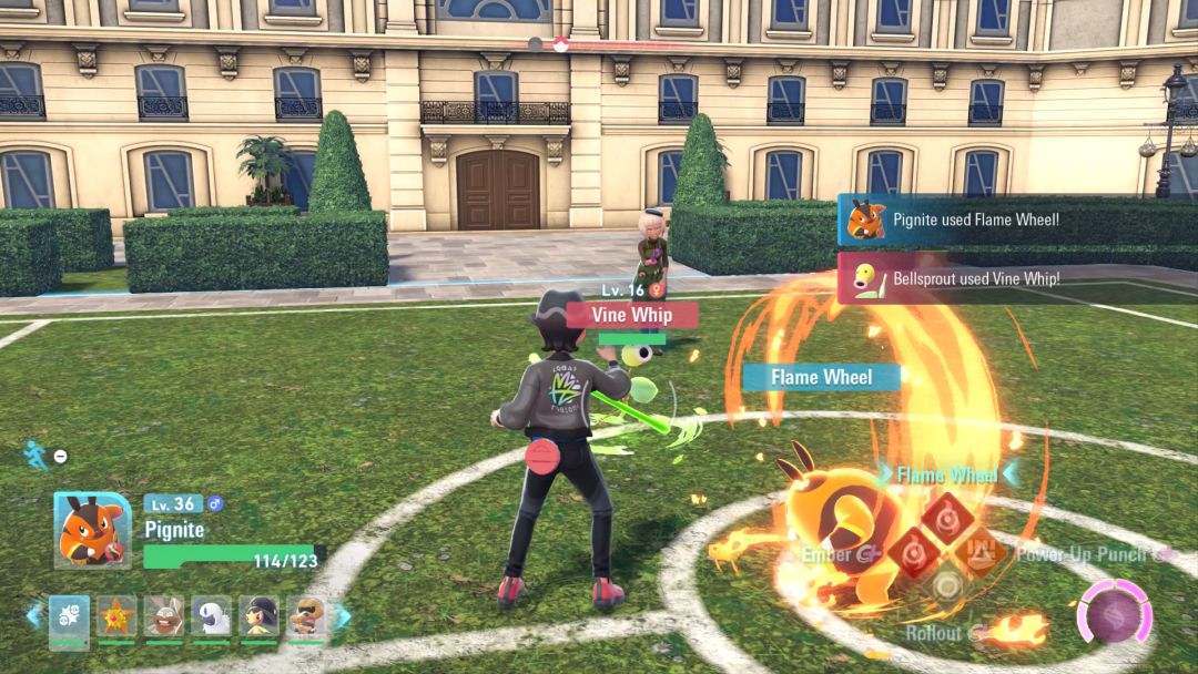 The Bellsprout lashes out with a poisoned whip as the Pignite rolls toward it in the midst of the Flame Wheel move.